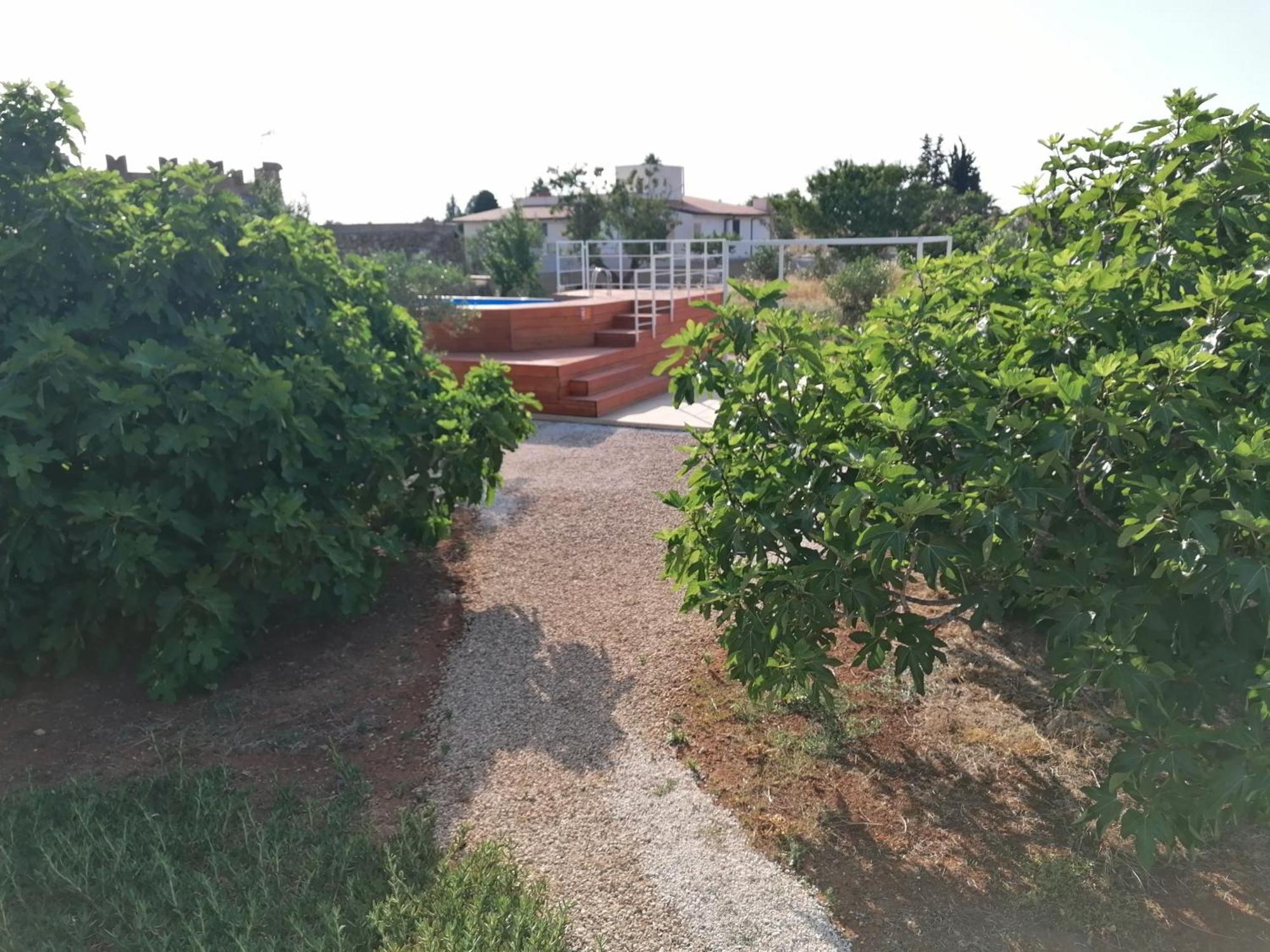 Villa Le Site Racale Exteriér fotografie